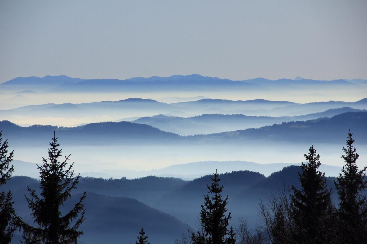 Velika Planina Chalet Slovenka Stahovica Eksteriør billede