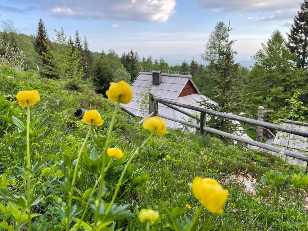 Velika Planina Chalet Slovenka Stahovica Eksteriør billede